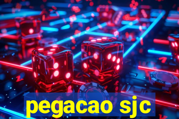 pegacao sjc